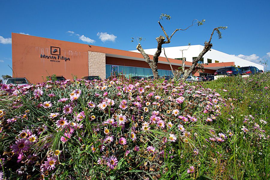 Monte Filipe Hotel Alpalhão Exteriér fotografie